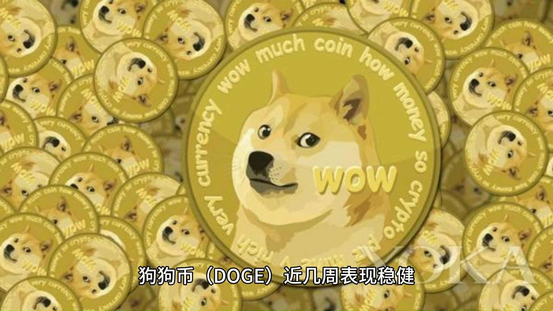 专家称ARB将在年底冲破狗狗币美元，引发引发关注